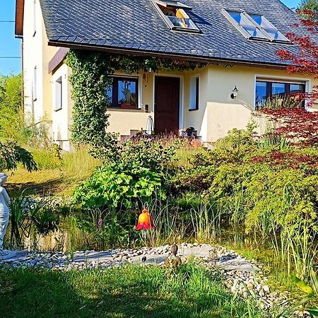 Ferienhaus "Am Waldsaum" Apartment Gohrisch Bagian luar foto