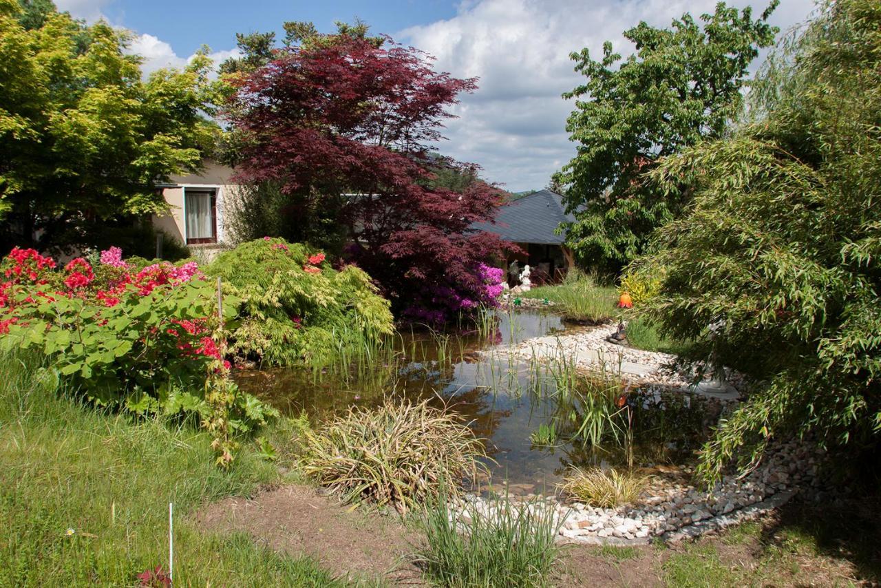 Ferienhaus "Am Waldsaum" Apartment Gohrisch Bagian luar foto