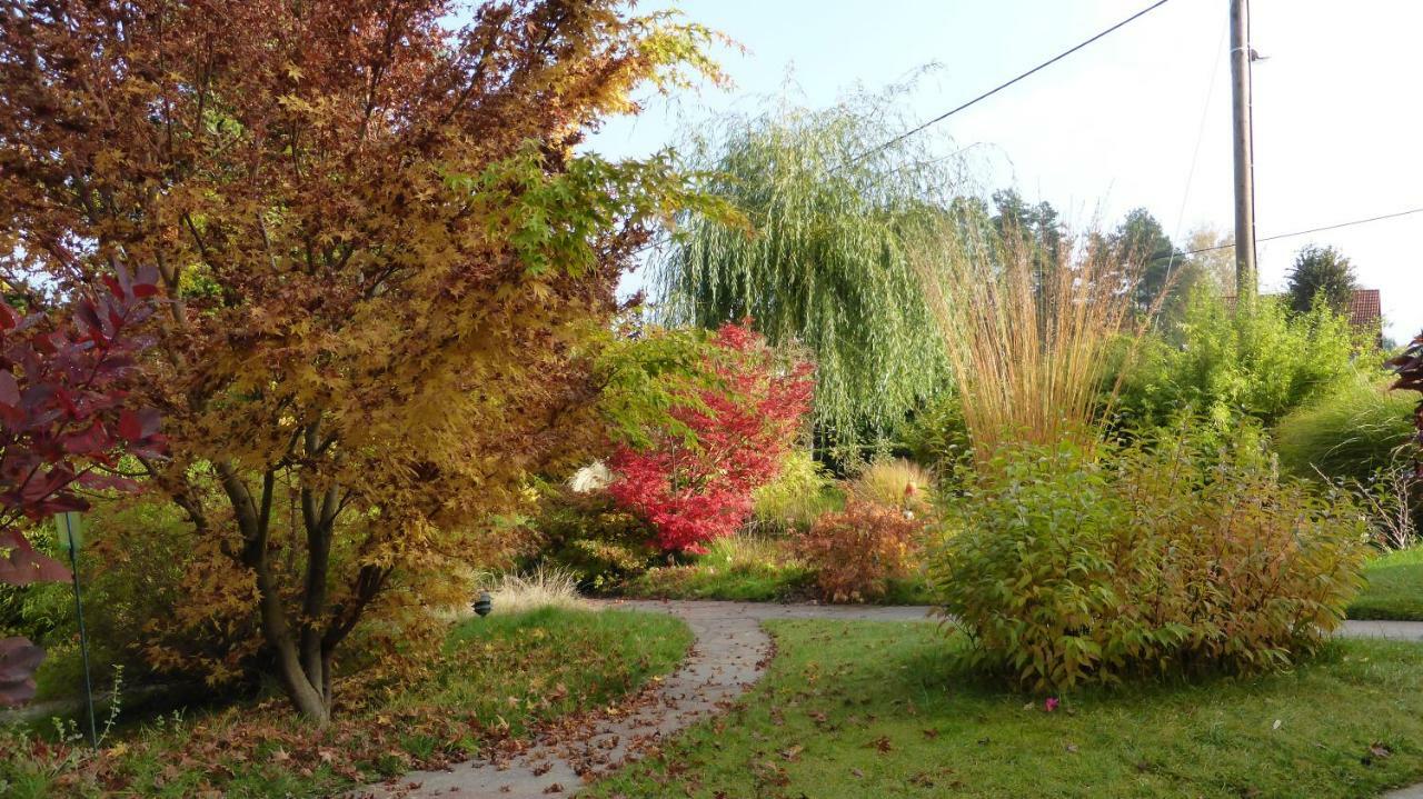 Ferienhaus "Am Waldsaum" Apartment Gohrisch Bagian luar foto